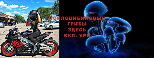 ПСИЛОЦИБИНОВЫЕ ГРИБЫ Навашино
