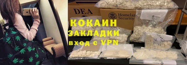 трава Наволоки