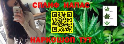 ГАЛЛЮЦИНОГЕННЫЕ ГРИБЫ Бузулук