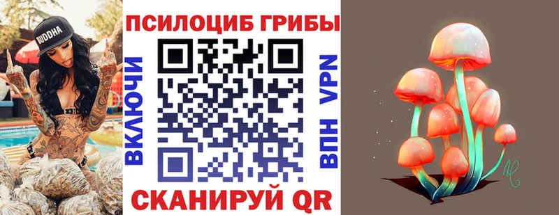 как найти   маркетплейс как зайти  Псилоцибиновые грибы Magic Shrooms  Дербент 