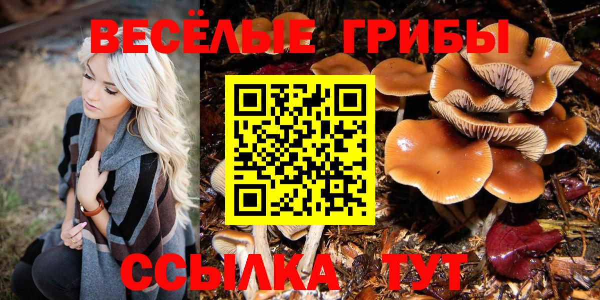 Псилоцибиновые грибы ЛСД  Вход с VPN  Дербент  Галлюциногенные грибы Magic Shrooms 